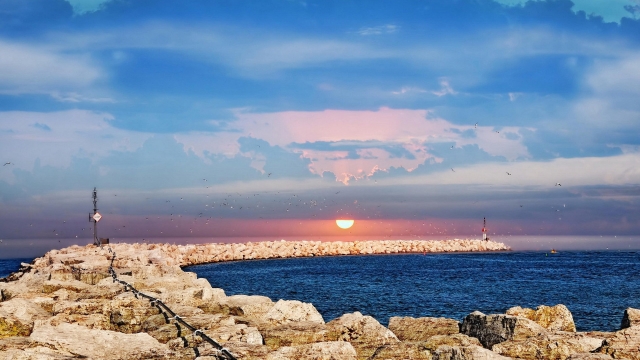 园林绿化生物调节剂