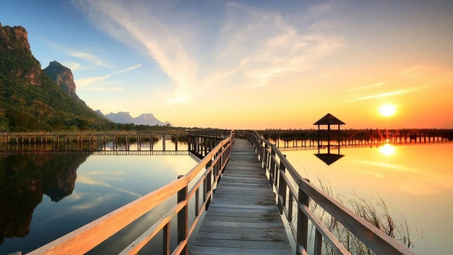 bwin必赢：园林绿化秋冬季预防火灾