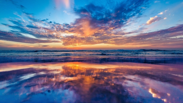 bwin必赢：园林绿化规划性质