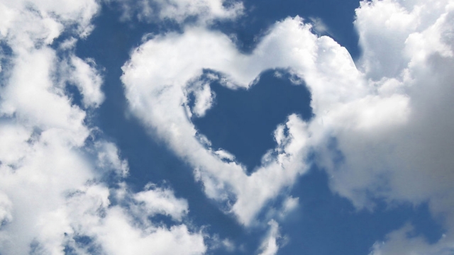 bwin必赢集团：园林绿化景观灵璧