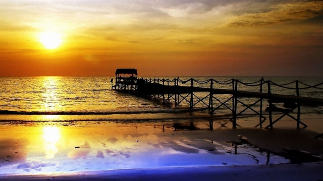 bwin必赢集团：园林绿化夏季病虫害