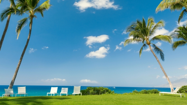 bwin必赢公司：园林绿化花坛不修剪后果