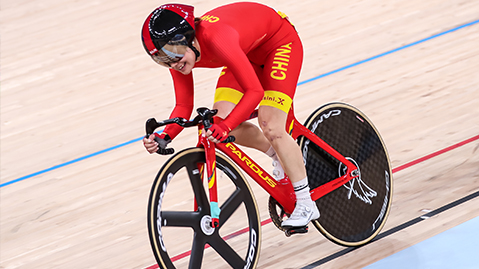 bwin必赢：园林绿化景盘