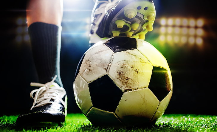 清远道路园林绿化工程预算